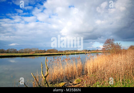 Ein Blick über den Fluss Yare zu Postwick Marsh aus dem Wherrymans Weg auf den Norfolk Broads an Surlingham, Norfolk, England, Vereinigtes Königreich, Europa. Stockfoto