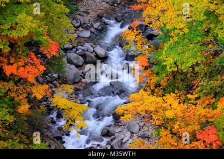 Jogakura Stream Stockfoto