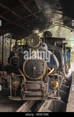 Darjeeling, Indien - 18. April 2017: Darjeeling Himalayan Railway oder Spielzeug Trainon, berühmte Touristenattraktion, hat UNESCO Weltkulturerbe Sünde. Stockfoto