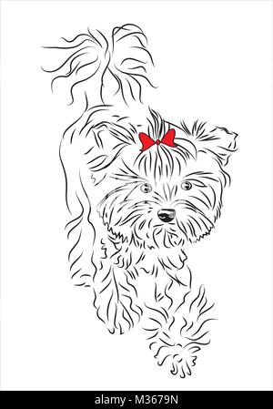 Hund Skizze auf Weiß. Vektor. Stock Vektor