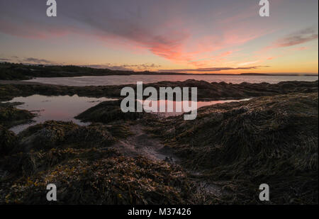 Sonnenaufgang über dem Atltantic Meer in der Bucht von Fundy in New Brunswick mit Strand und Kelp Betten und Gezeiten Pool Reflexionen bei Ebbe Stockfoto