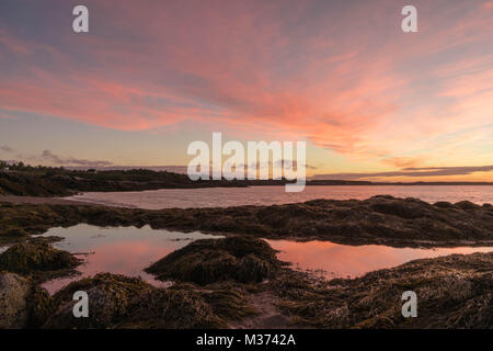 Sonnenaufgang über dem Atltantic Meer in der Bucht von Fundy in New Brunswick mit Strand und Kelp Betten und Gezeiten Pool Reflexionen bei Ebbe Stockfoto