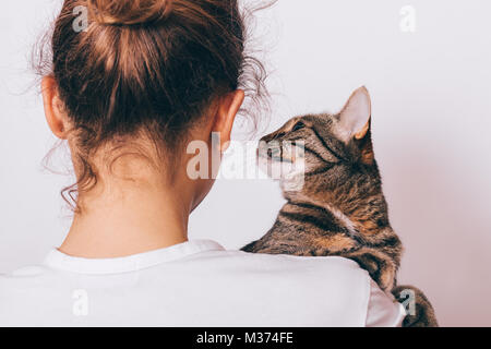 Tabby Katze sitzt auf den Anteil der Frauen an der Schulter auf weißem Hintergrund close-up Stockfoto