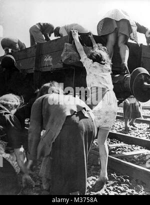 Deutschland nach dem Zweiten Weltkrieg 1946. Frauen nach vorn lehnen für Kohle und die viel stehlen benötigten Heizöl | Verwendung weltweit Stockfoto