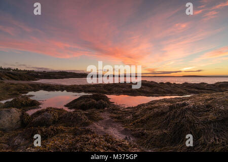 Sonnenaufgang über dem Atltantic Meer in der Bucht von Fundy in New Brunswick mit Strand und Kelp Betten und Gezeiten Pool Reflexionen bei Ebbe Stockfoto