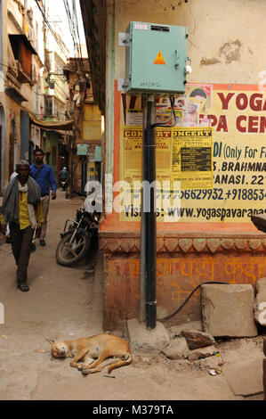 Straße in Varanasi, Indien Stockfoto