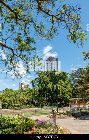 Anzeigen von Brisbane Botanic Gardens. Queensland, Australien. Bild vertikal Stockfoto