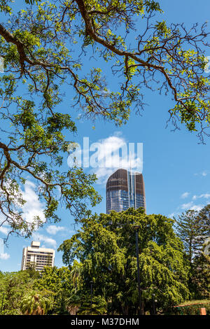 Anzeigen von Brisbane Botanic Gardens. Queensland, Australien. Bild vertikal Stockfoto