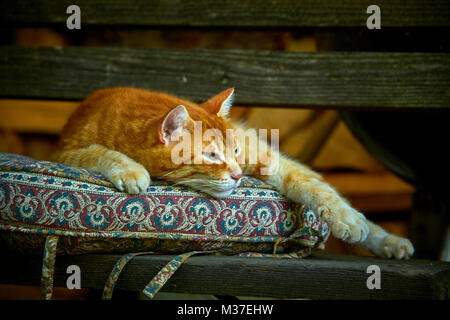 Bilder von Stonetown in Sansibar Stockfoto