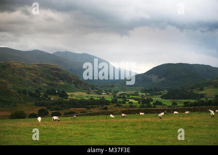 Blick von Castlerigg Steinkreis die Naddle Tal in Richtung Helvellyn: Lake District, Cumbria, England, Großbritannien Stockfoto