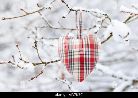 Herzen von gewebten hängend an einem verschneiten Zweig des Baumes. Liebe Konzept. Frankreich Stockfoto