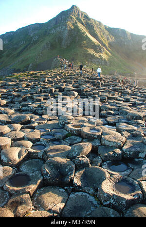 Giant's Causeway in der Nähe von Bushmills, Co Antrim, Nordirland, Großbritannien Stockfoto