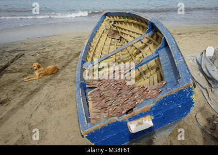 Fischerboot, Mindelo, Sao Vicente, Kap Verde Stockfoto