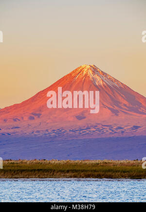 Blick auf die Laguna Baltinache Richtung Vulkan Licancabur bei Sonnenuntergang, Salar de Atacama, Antofagasta Region, Chile Stockfoto