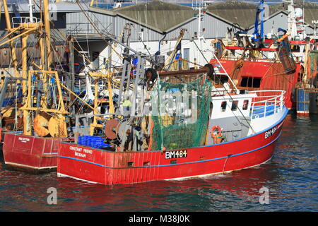 Kommerzielle Fischerei, Boote, Brixham Fischmarkt, South Devon, England, Großbritannien Stockfoto