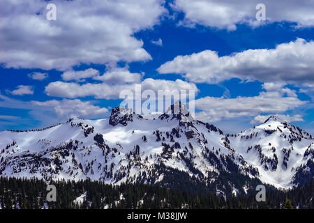 Die schneebedeckten Berge gegen den blauen Himmel mit immergrünen Bäumen Stockfoto