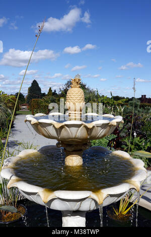 RHS Wisley exotischen Garten. Großbritannien Stockfoto