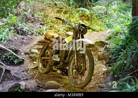 Alten, verlassenen Motorrad im Wald Stockfoto