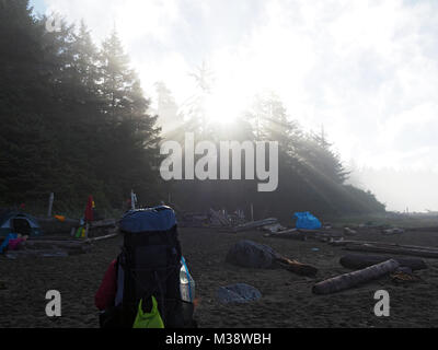 Sonne über den Wald an der Westküste von Kanada Stockfoto