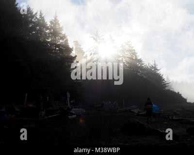 Sonne über den Wald an der Westküste von Kanada Stockfoto