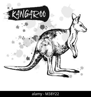 Handskizze Stil kangaroo gezeichnet. Vector Illustration auf weißem Hintergrund. Stock Vektor