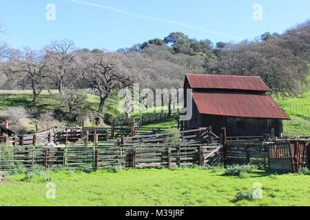 Pferd Scheune, Borges Ranch, Walnut Creek, Kalifornien Stockfoto