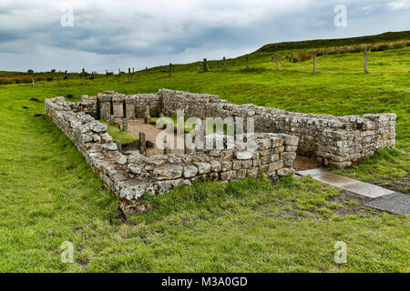 Römische Ruinen des Tempels des Mithras, Hadrianswall, Carrawburgh, Newbrough, Northumberland, England, Vereinigtes Königreich Stockfoto