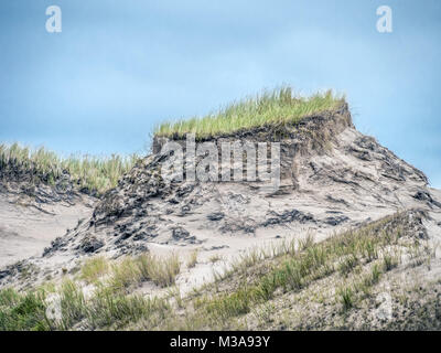 Dune Formationen mit Gras bedeckt und Pinien, beweglichen dune Wydma Czolpinska im Slowinski-nationalpark zwischen Rowy und Leba, Ostsee, Pola Stockfoto