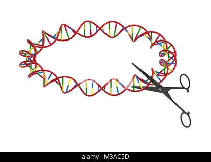 Schere schneiden DNA-Strang, Gentechnik, 3D-Rendering, isoliert auf weißem Stockfoto