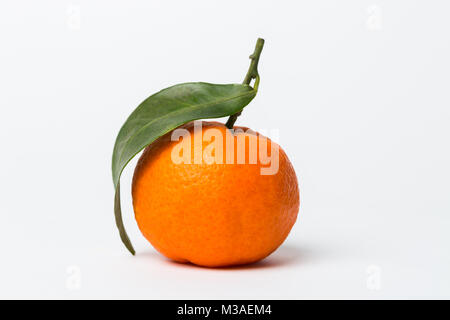 Frische Mandarine mit grünen Blättern, die isoliert auf weißem Hintergrund Stockfoto