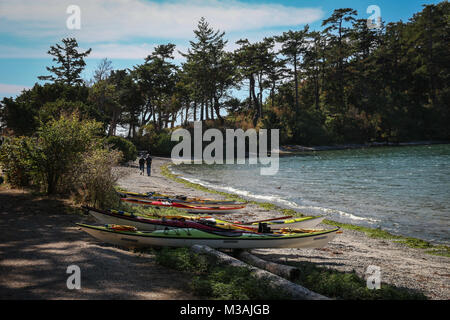 Sucia Island Marine State Park, Washington State - mehrere bunte Kajaks auf einem geschwungenen Sandstrand, wo 2 Leute in Richtung zu den Pinien spazieren gezogen Stockfoto