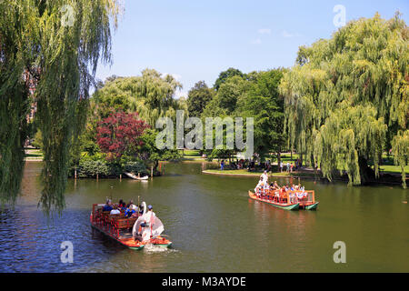 Touristen reiten und genießen Swan Boote auf dem See, Public Garden in Boston. Die Boote haben im Betrieb seit 1877. Stockfoto