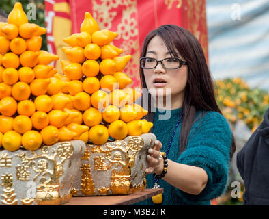 Hong Kong, Hong Kong SAR, China. 10 Feb, 2018. Hongkong: China - Februar 10., 2018. Hong Kong Mondjahr Messe öffnet in den Victoria Park. Das Chinesische Neue Jahr, traditionell mit Blume und Geschenk Ständen gefüllt, ist auch die Heimat von politischen Parteien, wie Sie heben, ihre Arbeit fortzusetzen. Die Regale der Blüte Stände sind mit speziellen Pflanzen Credit: Jayne Russell/ZUMA Draht/Alamy Leben Nachrichten gestapelt Stockfoto