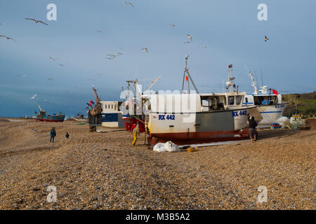 Hastings East Sussex UK. 10. Feb 2018. Wild windig nassen Wetter an der Südküste. Möwen schwebt über Fischerboote am Strand der Altstadt Stade Fischer als Fischer der Fang entladen. Stockfoto