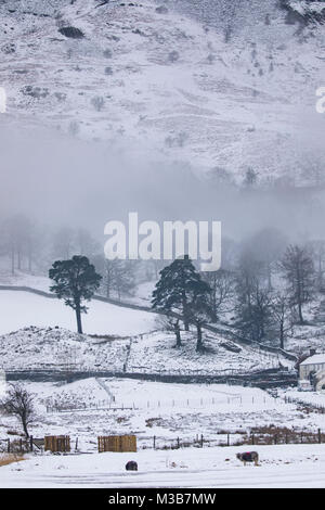 Eisnebel steigt auf einer schneebedeckten Landschaft und den ländlichen Farm in der Nähe von Chapel Stile in der Great Langdale Valley im Winter, Lake District, Cumbria, Großbritannien Stockfoto