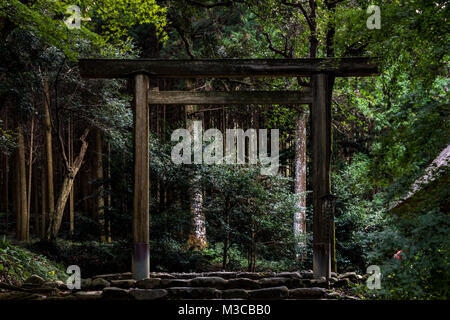 Torii Tor im Wald, Kyushu, Japan Stockfoto