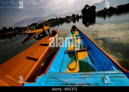 Shikaras Boote andocken am Dal Lake in Srinagar, Indien. Baku ist die Hauptstadt des indischen Bundesstaates Jammu und Kaschmir. Stockfoto