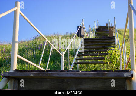 Beton Treppe im Khao Yai Forest in Thailand Stockfoto