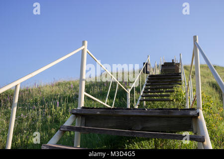 Beton Treppe im Khao Yai Forest in Thailand Stockfoto