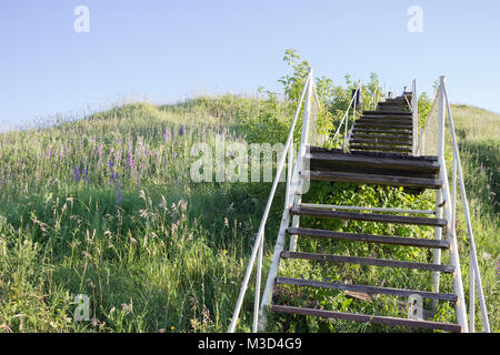 Beton Treppe im Khao Yai Forest in Thailand Stockfoto