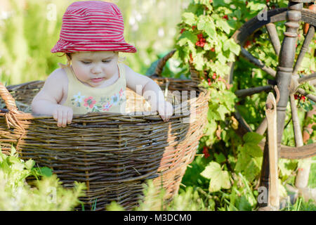 Tolles kleines Baby ist im Garten und frisst rote Beeren entlang der sich drehende Rad Stockfoto
