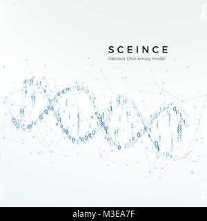 Abstrakte DNA binäres Modell. Der genetische Code. Wissenschaft und futuristisches Konzept. Vector Illustration isoliert auf weißem Stock Vektor