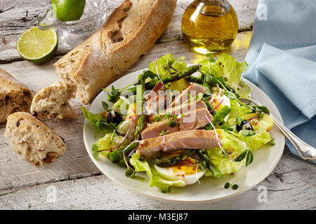 Frühling Salat Thunfisch hartgekochte Eier Spargelspitzen Salat Salat Stockfoto