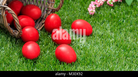 Ostern Konzept. Rote Eier aus einem Korb auf grünem Gras, Ansicht schließen, Platz für Text Stockfoto