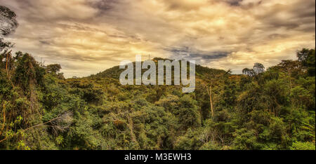 Cameron Highlands in Malaysia im Jahr 2015 getroffen Stockfoto