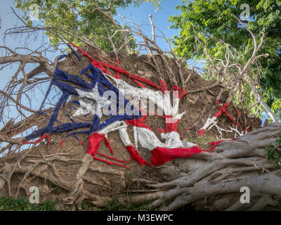 Die Puerto Rican flag über die Wurzeln eines gefallenen Baum gemalt nach dem Hurrikan Maria. Stockfoto