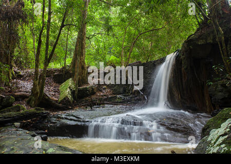 Jerusalem Creek Falls, Barrington Tops, NSW. Stockfoto