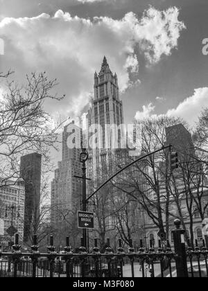 Brooklyn Bridge Woolworth Building in Mono New York Ray Boswell Stockfoto