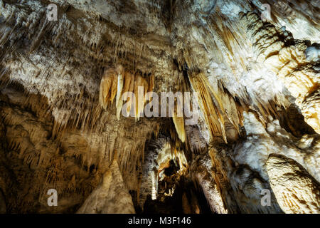 Waitomo Caves Neuseeland im Jahr 2015 getroffen Stockfoto