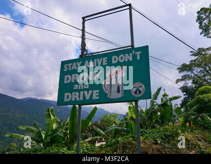 Portland Parish, Jamaika - Januar 1, 2014: Grün nicht trinken und die Sicherheit im Straßenverkehr Schild an der Seite der B1 Straße in der Blue Mountains Region th Antrieb Stockfoto